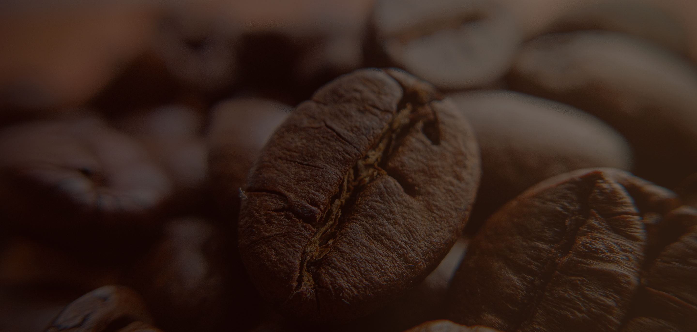 Roasted Coffee Beans