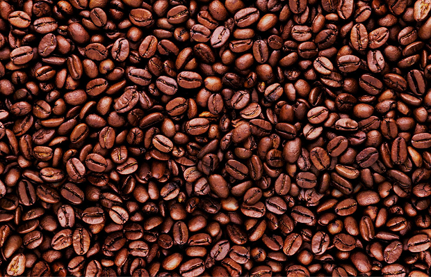 Premium Quality Beans