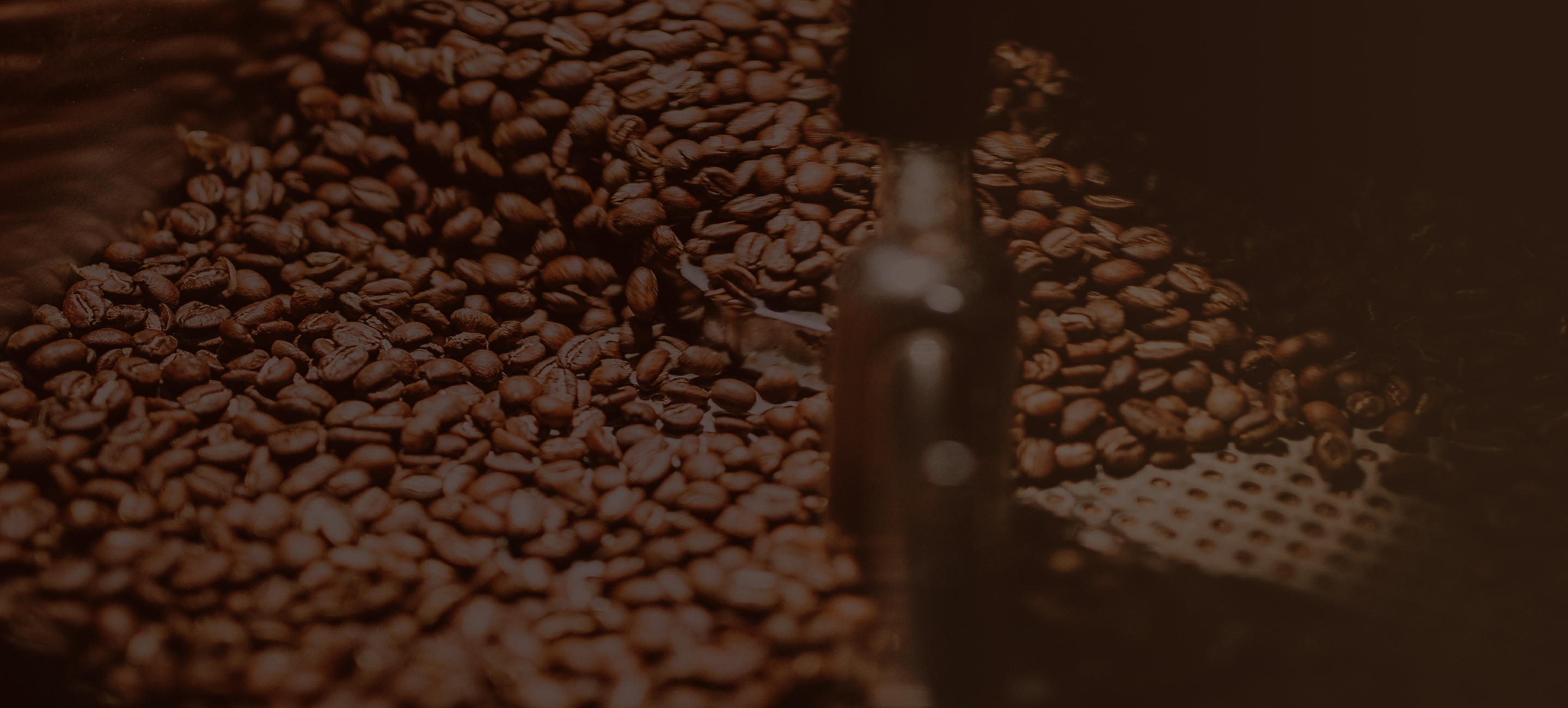 Wholesale Coffee